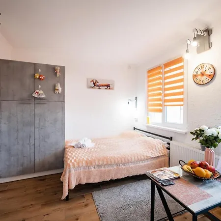 найкраще розташування у місті нові Smart-квартири Uzhhorod